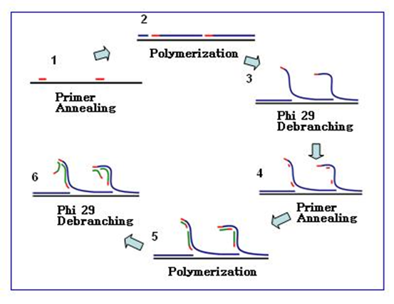 Molecular Diagnosis Technology Comprehensive Analysis Trilogy