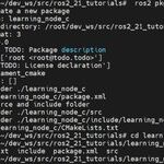 Learning ROS2 Through Development Boards: 21 Lectures (C++ Node Example)