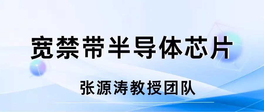 Wide Bandgap Semiconductor Chips