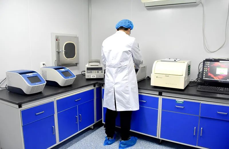 Essential Tests for Endometrial Cancer - POLE Gene Testing