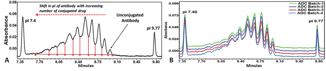 Characterization Techniques for Antibody Drug Conjugates (ADCs)