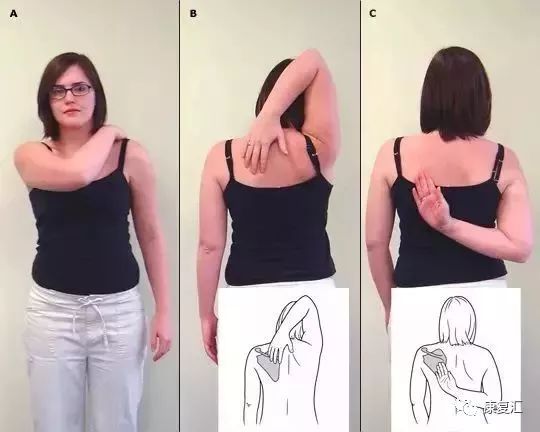 Detailed Guide to Shoulder Joint Physical Examination for Rehabilitation