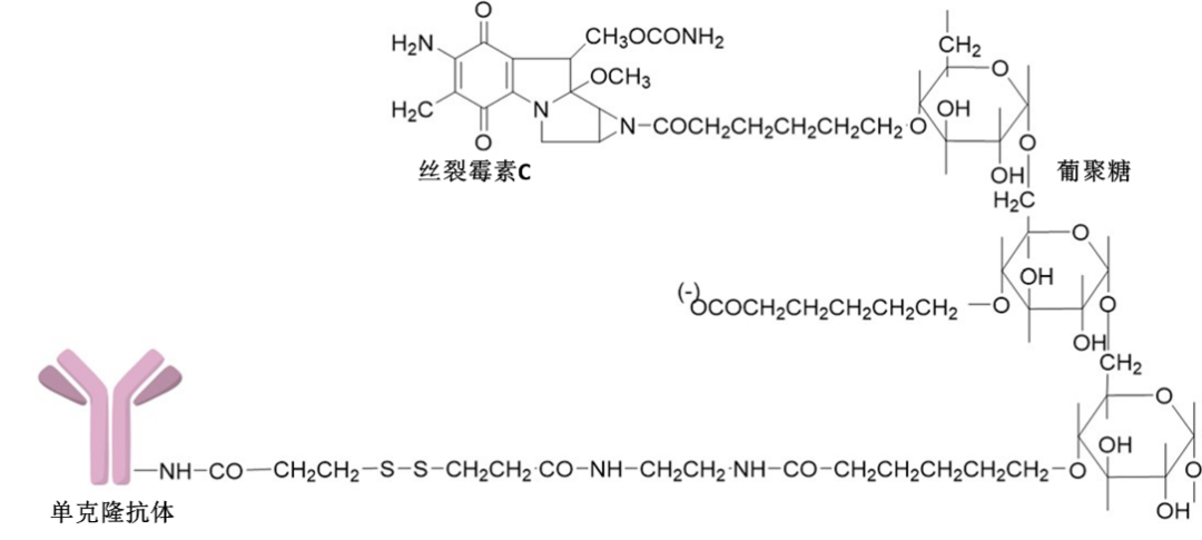 Exploring the Stories Behind ADC Payloads: Traditional Chemotherapeutics