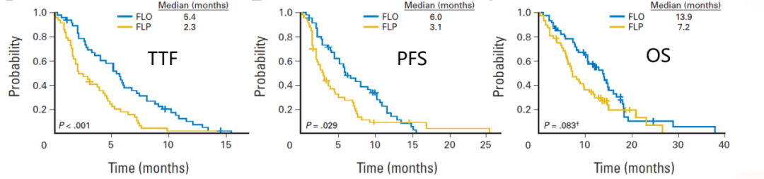 Professor Ying Jie'Er: Treatment of Elderly Patients with Advanced Gastric Cancer