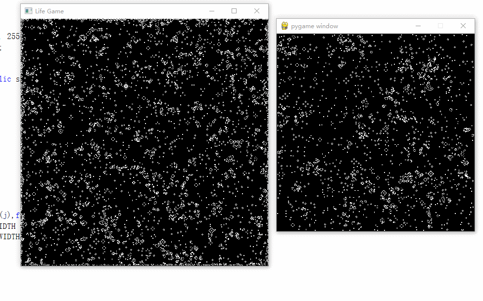 Complex Life Game Model Implementations in Python and C++