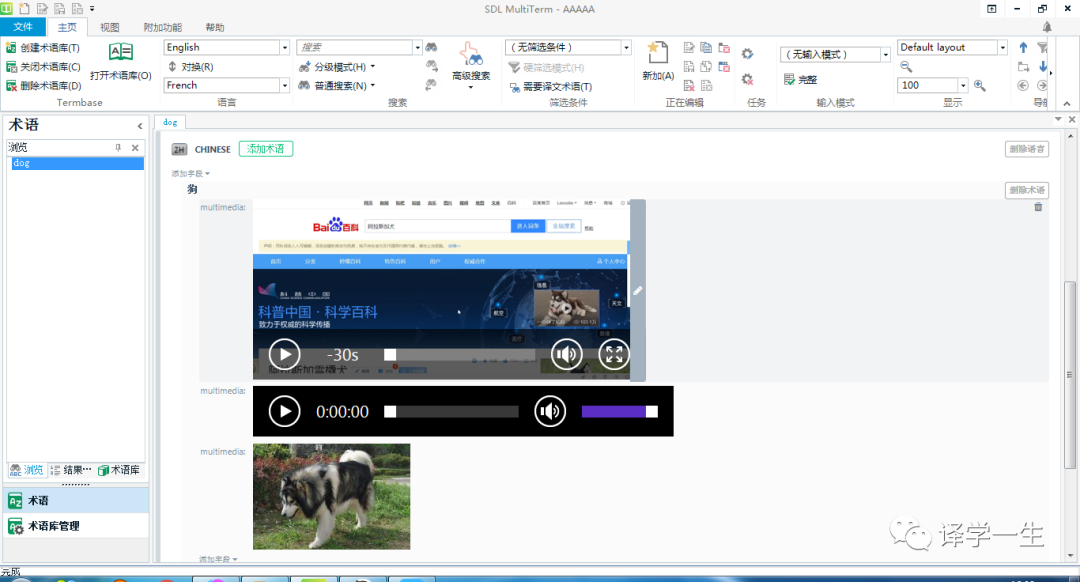 Creating a Multimedia Multilingual Terminology Database: Based on SDL MultiTerm Desktop 2019