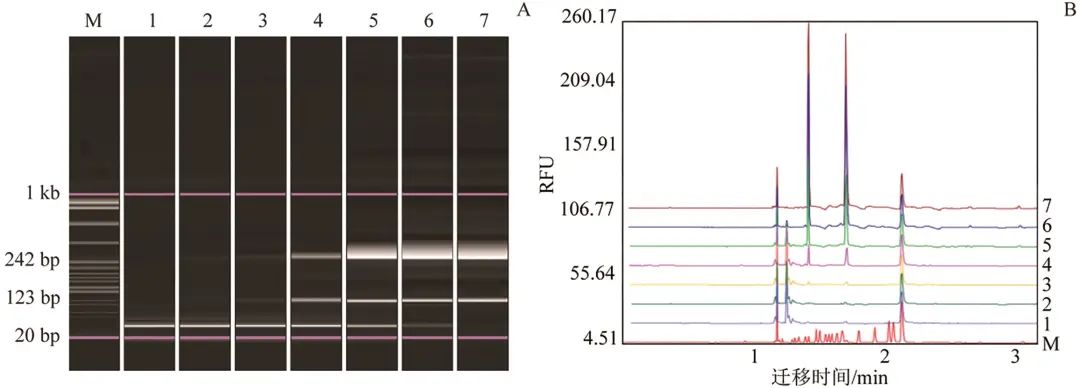 Establishment of Duplex RT-PCR Detection Method for Two Common Viruses in Tilapia
