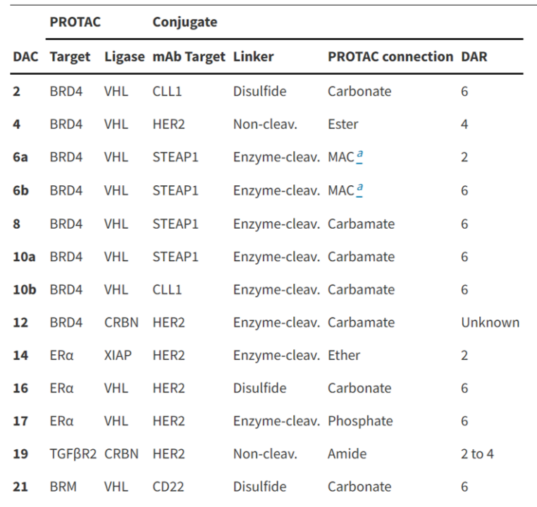 Degrader-Antibody Conjugates: Risks on the Path from Concept to Reality