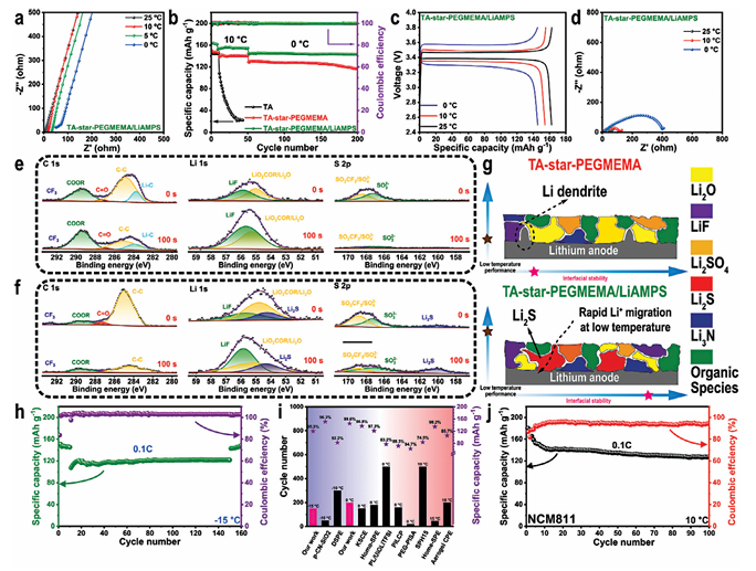 Star-Structured Polymer Electrolyte for Low-Temperature Lithium Batteries