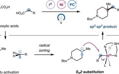 Nickel-Catalyzed Double Decarboxylative Cross-Coupling of Aliphatic Carboxylic Acids