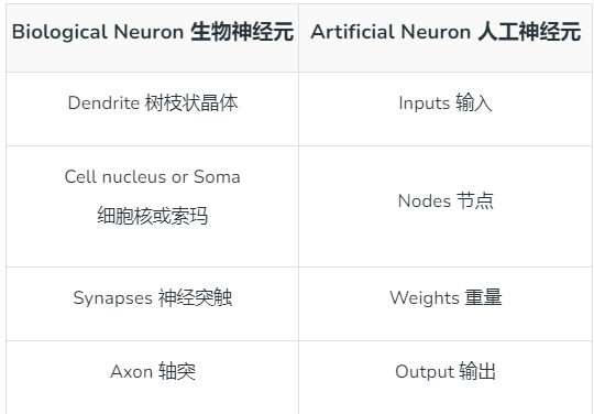 What Is NPU in CPUs?