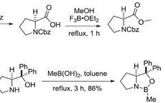Corey-Bakshi-Shibata Reduction Reaction