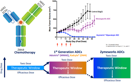 Zymeworks: Overview of Leading ADC Platforms