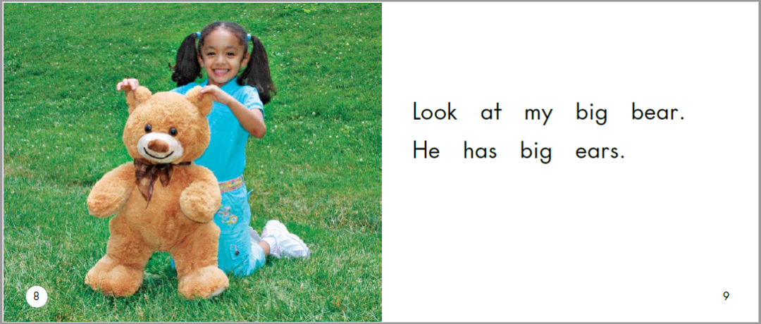 English Picture Book Stories | My Big Bear