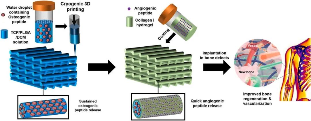 Bioprinting of Vascularized Tissues: A Comprehensive Review