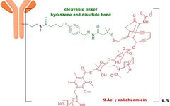 Technical Insights into 15 ADC Drugs and Future Innovations