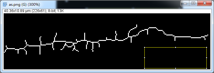 Unlocking Various Technical Skills in ImageJ