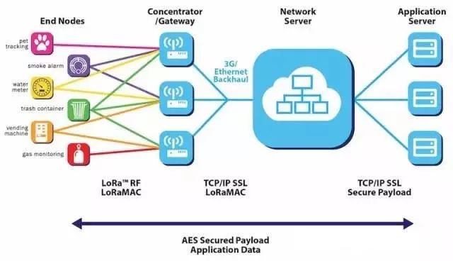 Mastering LoRaWAN: Essential Components