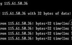 How to Use the Ping Command Effectively