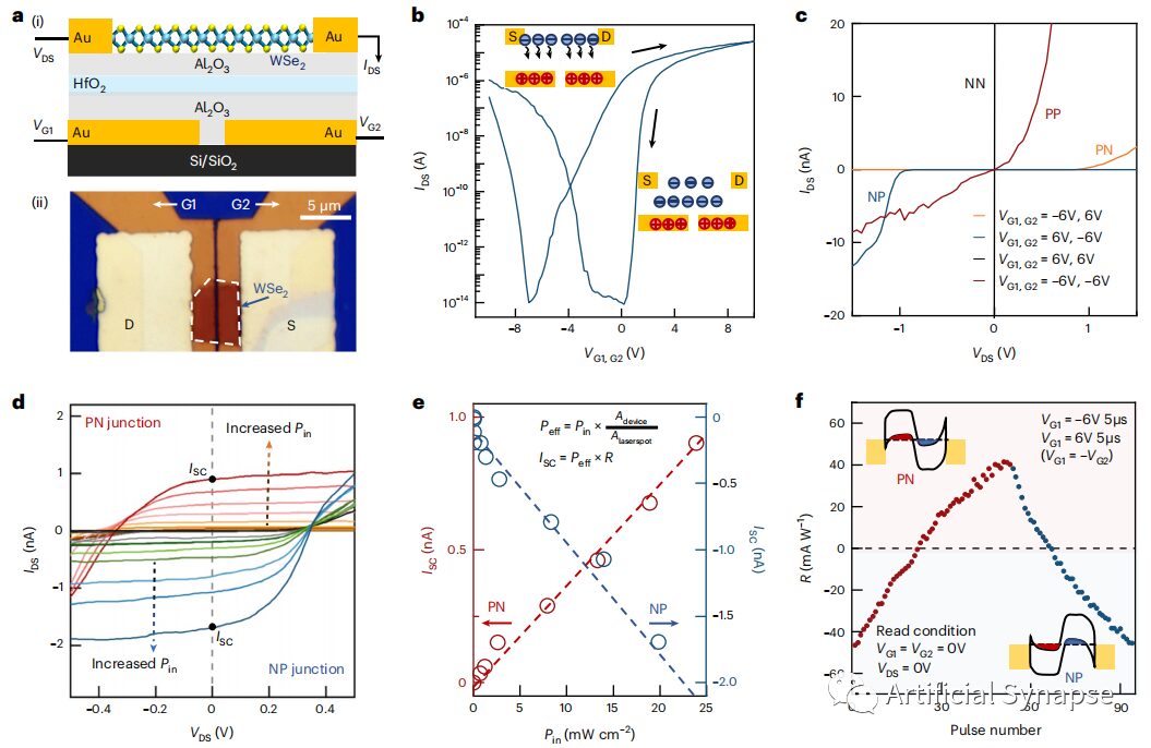 Neuromorphic Event-Driven Vision Sensors for Motion Recognition