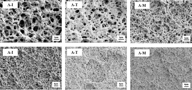 Molecular Structure of Polyurethane Acrylate Affects PDLC Morphology