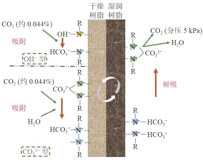 Technological Development and Economic Assessment of Direct Air Capture (DAC) Under Carbon Neutrality