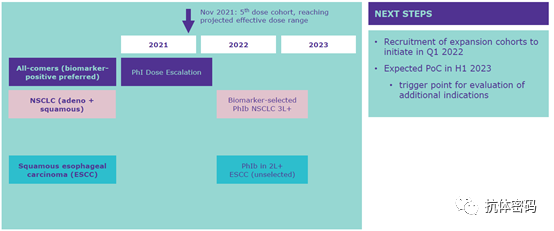 The Next Step for Bispecific Antibodies: Bispecific ADC?