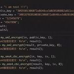 Application of National Encryption Algorithms in Various Platforms