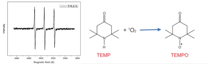 Principles and Applications of Electron Paramagnetic Resonance (EPR) Testing