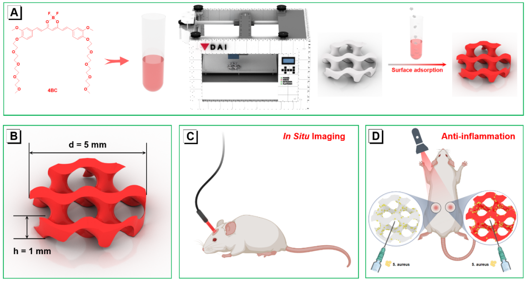 AIE-Enabled 3D Printed Scaffolds for In Situ Imaging and Anti-Inflammatory Function