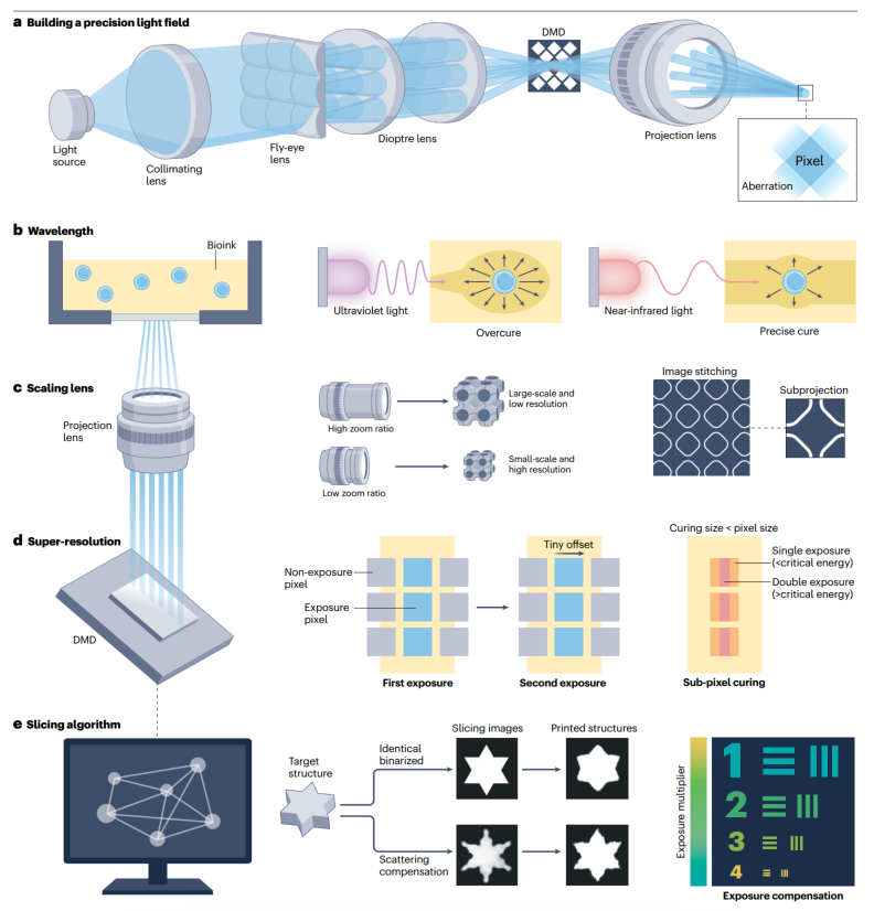 High-Resolution Projection-Based 3D Bioprinting Review