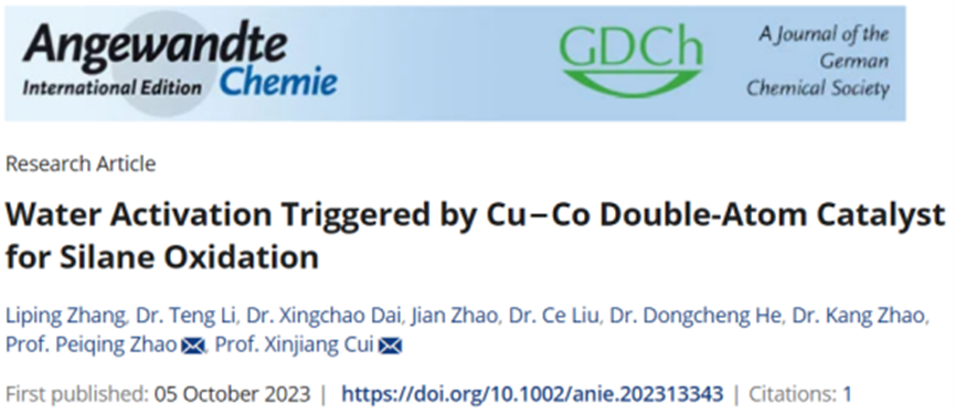 Applications Of DFT Calculations In Dual-Atom Catalysts