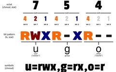 Essential Guide for Beginners - Linux Chmod Command