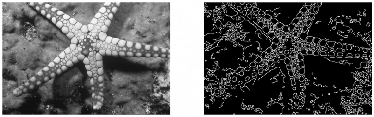 Comprehensive Guide to Edge Detection Algorithms
