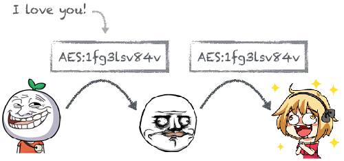 Principles and Practices of Computer Encryption Algorithms