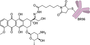 Exploring the Stories Behind ADC Payloads: Traditional Chemotherapeutics