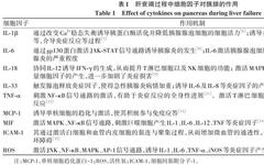 Mechanisms and Prevention of Acute Pancreatitis Complicating Liver Failure