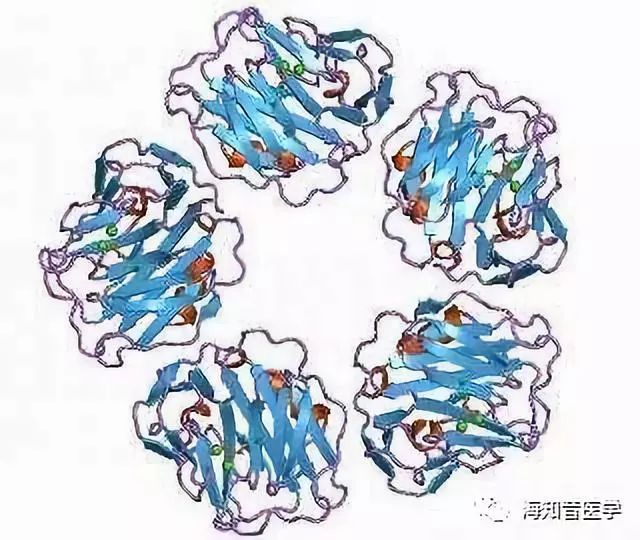 Differences Between C-Reactive Protein and High-Sensitivity C-Reactive Protein