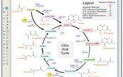 The Untold History of ChemDraw