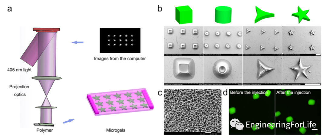 Applications of Projection Photopolymerization in 3D Bioprinting: Microneedles, Microspheres, and Microfluidic Chips
