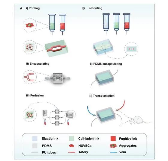 Bioprinting of Vascularized Tissues: A Comprehensive Review