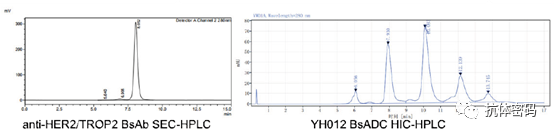 The Next Step for Bispecific Antibodies: Bispecific ADC?