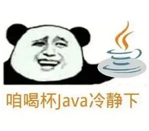 Advantages and Disadvantages of Various Programming Languages