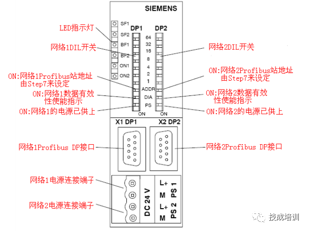 Can Two Different DP Networks Be Integrated? Have You Used DPCoupler?