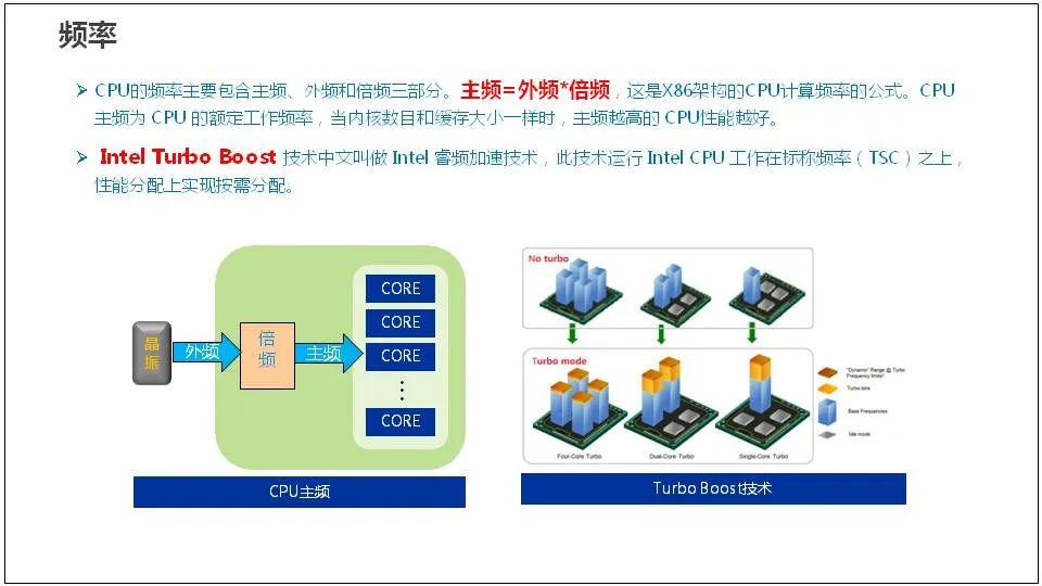 Comprehensive Knowledge of Server Basics