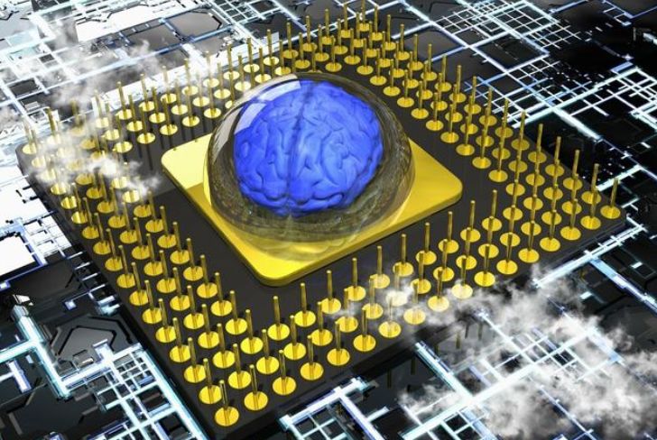 What Are the Differences Between NPU and CPU Chips?
