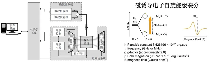 Principles and Applications of Electron Paramagnetic Resonance (EPR) Testing