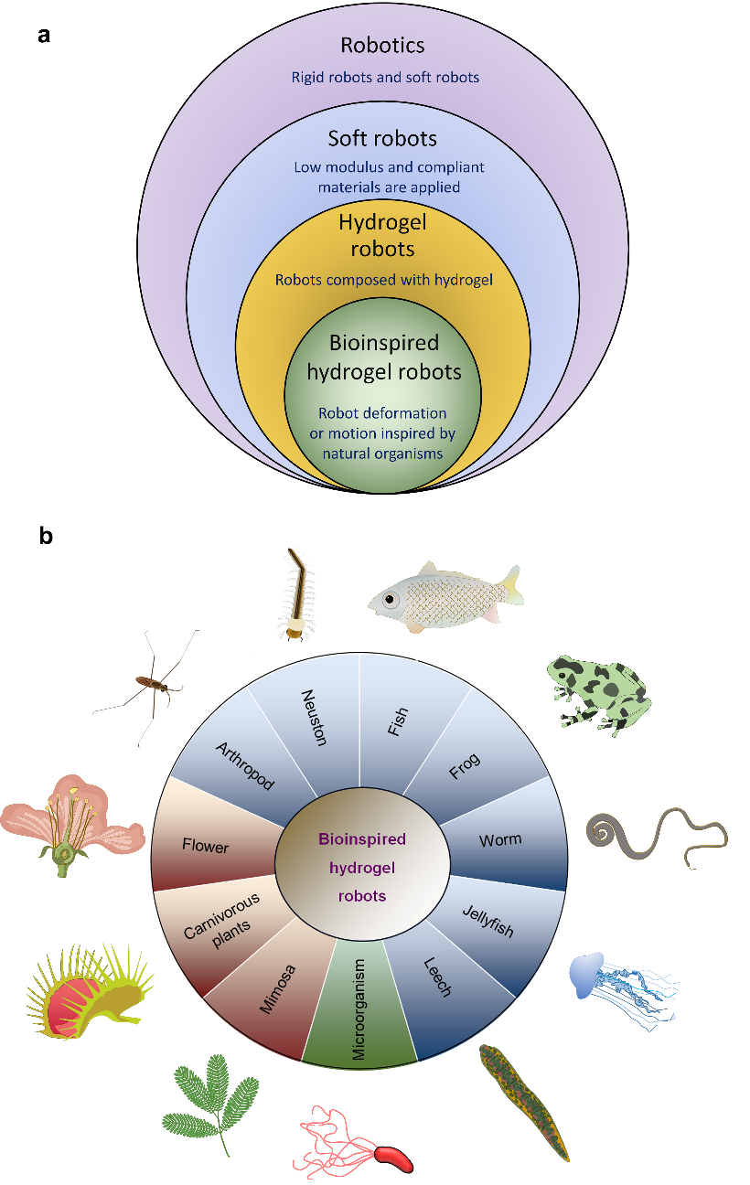 Bioinspired Hydrogel Actuator for Soft Robotics: Opportunities and Challenges