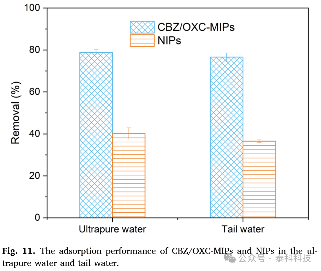 Preparation and Removal Performance of Magnetic Polymer for Carbamazepine and Oxcarbazepine