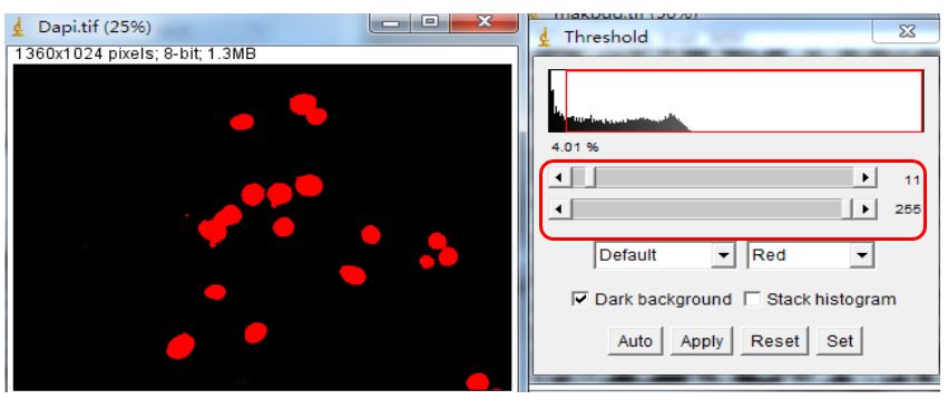 Unlocking Various Technical Skills in ImageJ